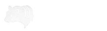 bear valley outdoor × archaeology